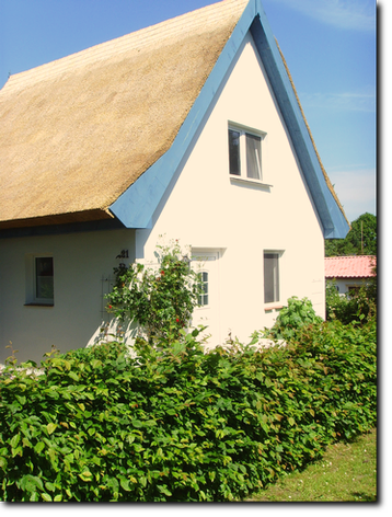 Reetdach-Ferienhaus - Ihr zukünftiges Feriendomizil